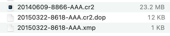 Image showing a file and two associated sidecar files.