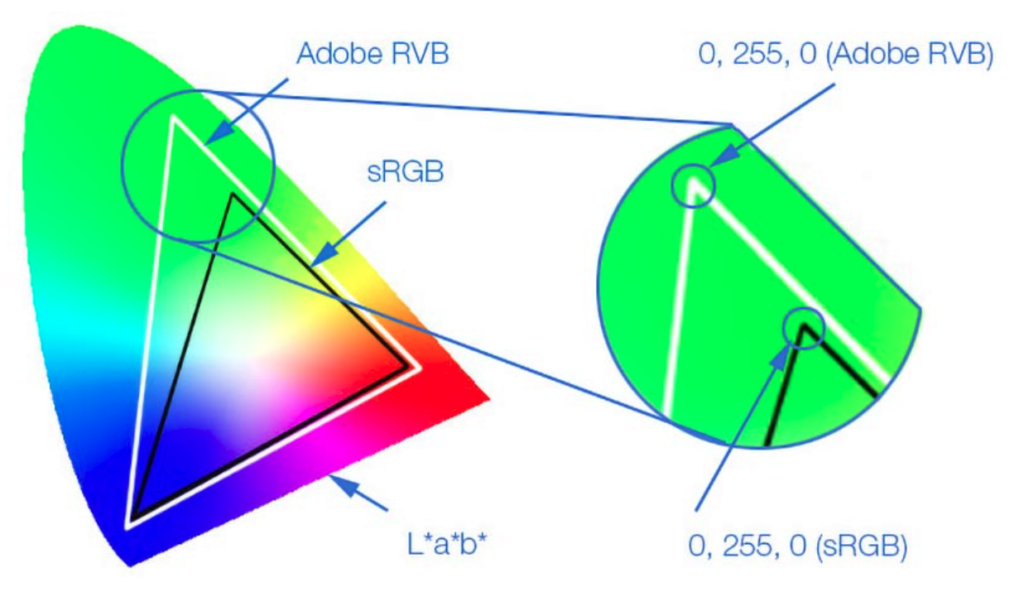 sRGB, ProPhoto RGB and More—Do You Know Your Color Spaces?